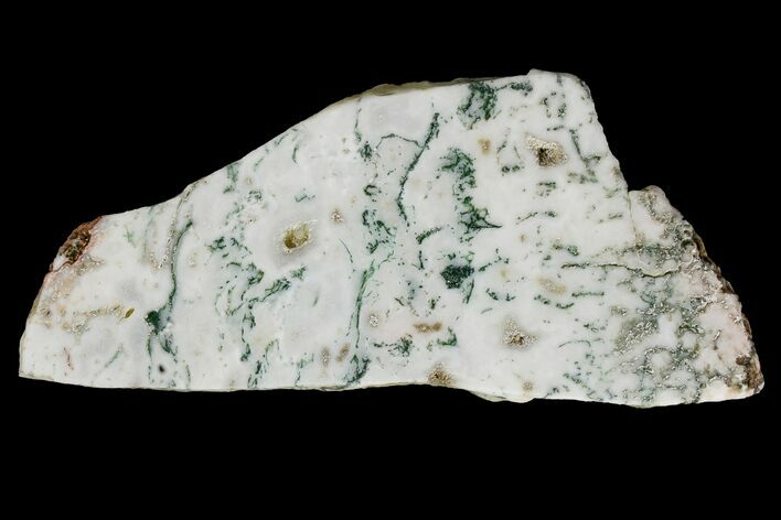Polished Tree Agate Slab - India #167475